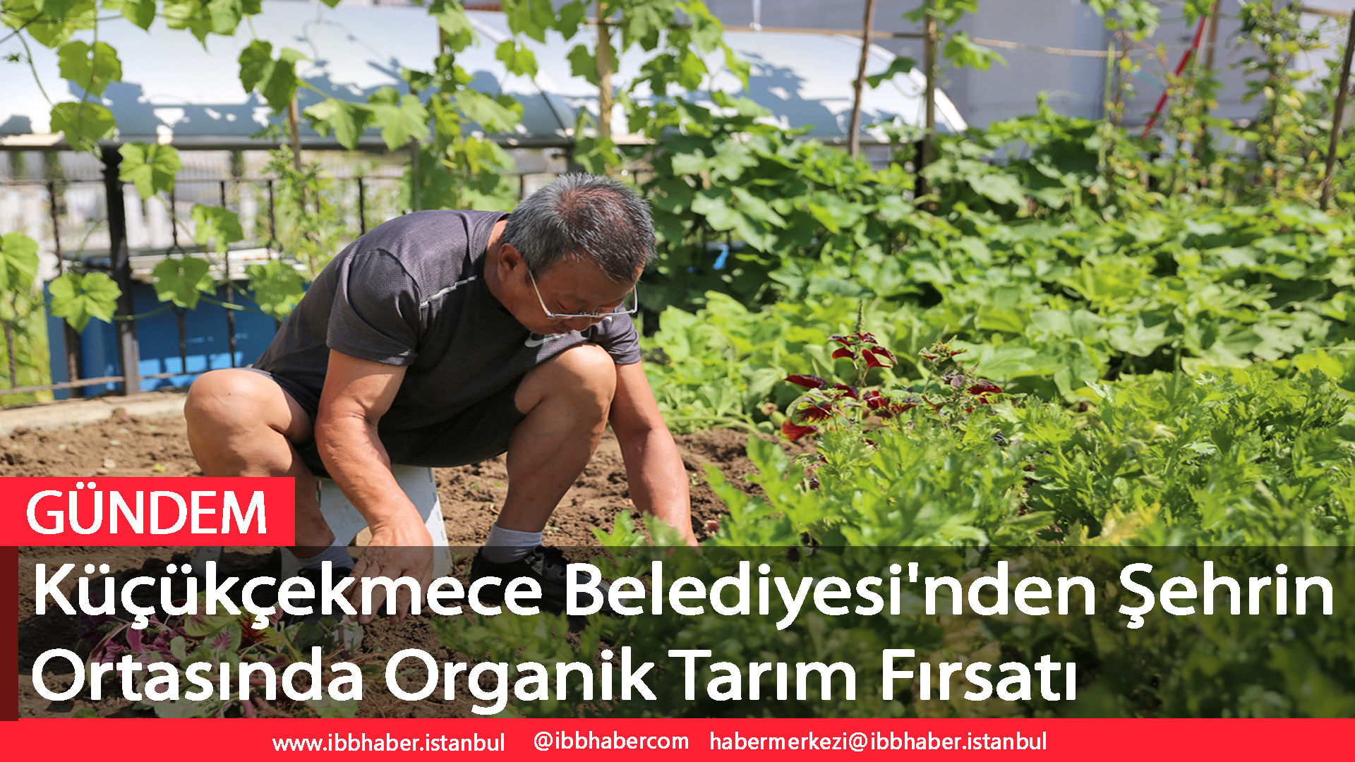 Küçükçekmece Belediyesi'nden Şehrin Ortasında Organik Tarım Fırsatı