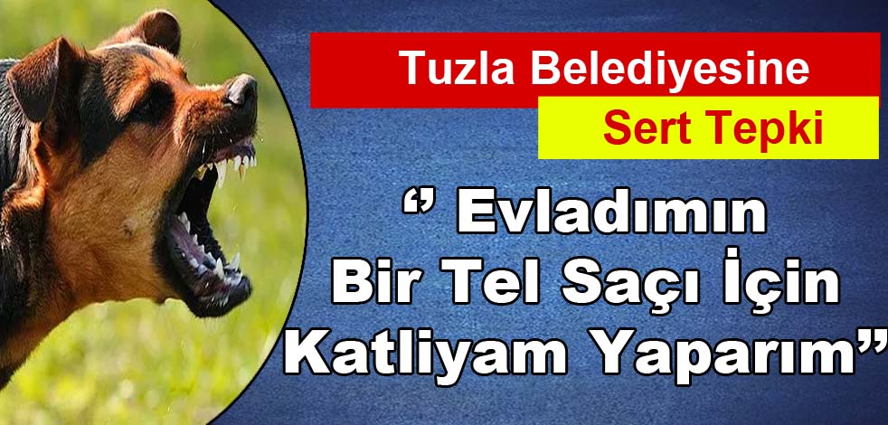 Tuzla’da sokak hayvanlarına tepki yükselmeye devam ediyor…