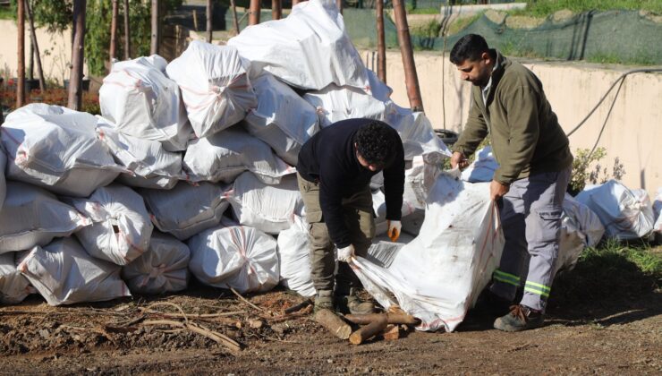 Kartal’da Budanan Ağaç Dalları İhtiyaç Sahiplerine Yakacak Oluyor